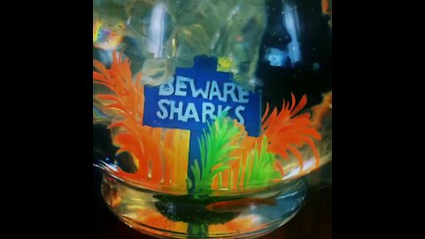 Beware of sharks