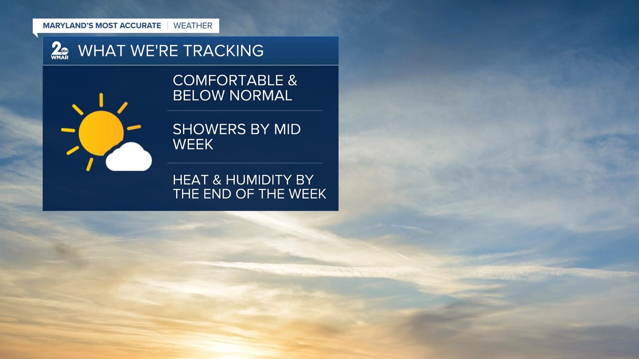 Comfortable Day on Tap