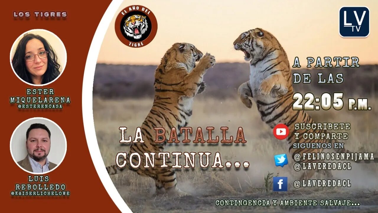 La Batalla Continua - "El Año del Tigre" T2 Ep. 09 Contingencia Salvaje