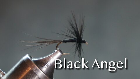 Black Angel - a Ray Bergman fly