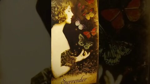 Pisces Oracle Messages - Surrender to the Process - Butterfly Symbolism ਏਓ see full reading #shorts