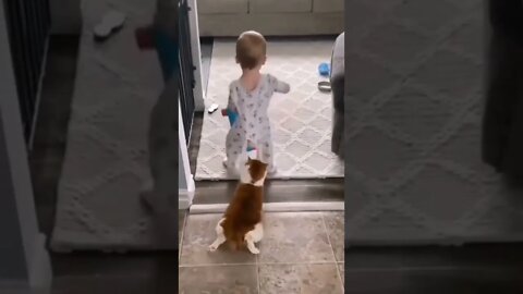 funny cat with cute baby #39