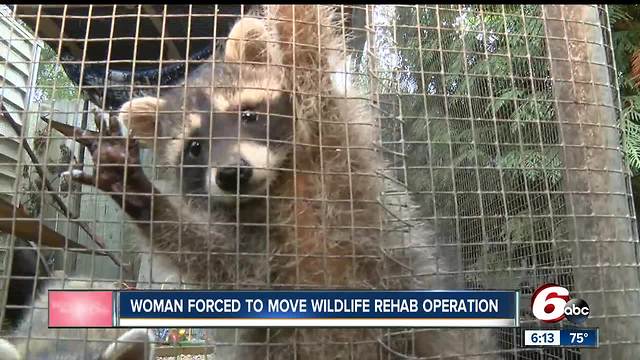 Woman forced to move wildlife rehab operation in Lebanon