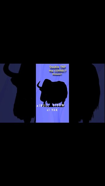 🐮Guess the farm animal shadow game bull cow yak? quiz video Yakety Yak #shorts