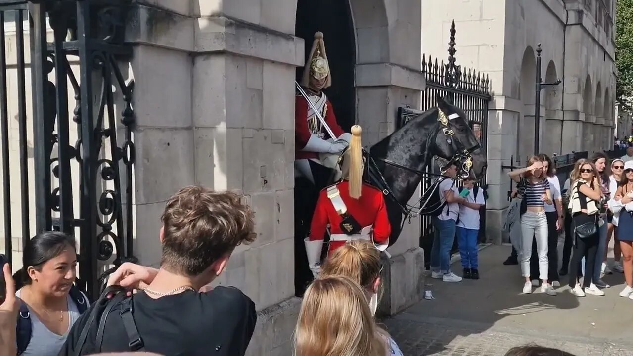 Guard shouts make way kid said calm down dude #horseguardsparade