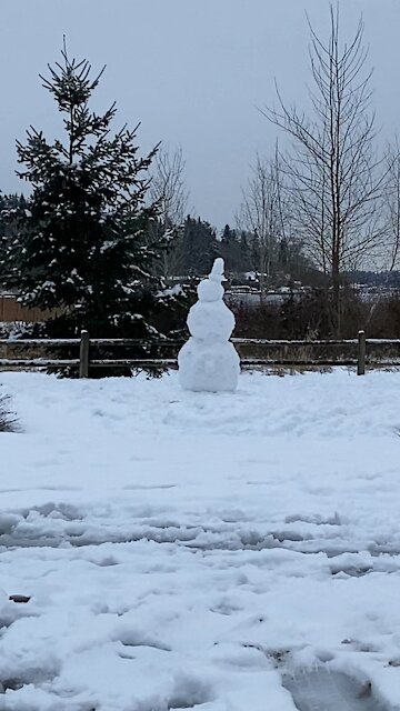 Snowman in Kirkland, Washington