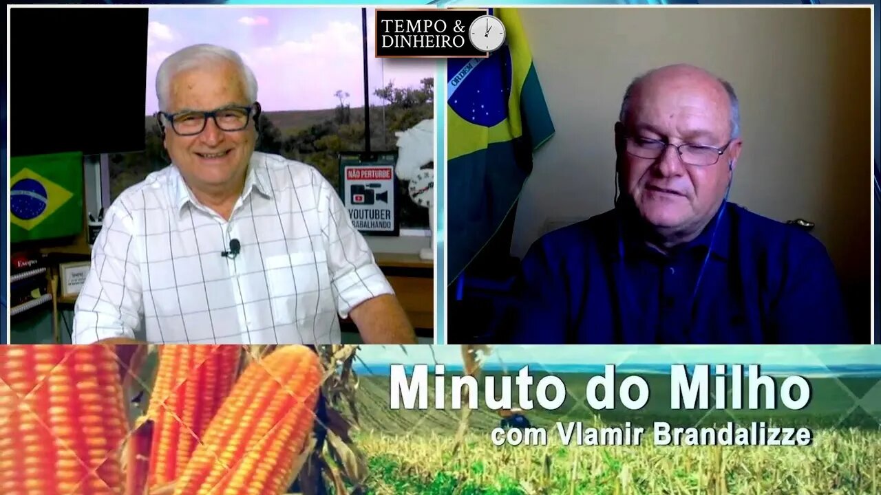 Milho correndo com negócios nos portos