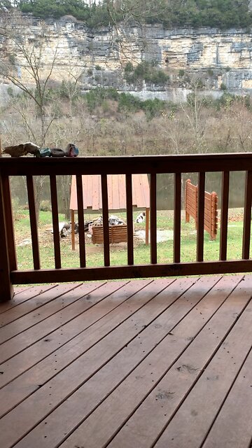 Dixie says no to having her ears cleaned