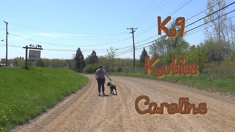 K9 Kuties "Caroline"