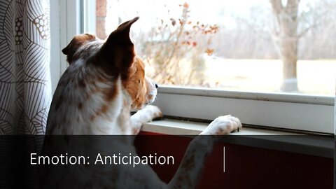 Emotion: Anticipation