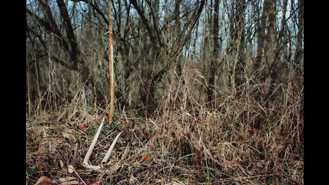 Improving Your Shed Hunting Success