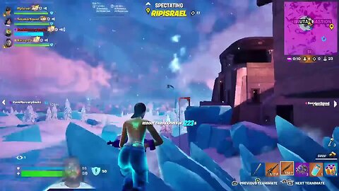 Fortnite with Rock Mercury