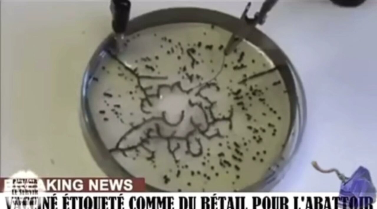 Le graphène est un supraconducteur...