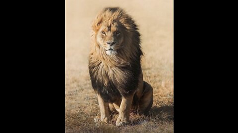 A Word of The Spirit of the LORD / HE IS Faithful & True