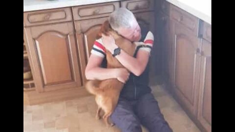 Dog's warm reception when owner returns home from vacation