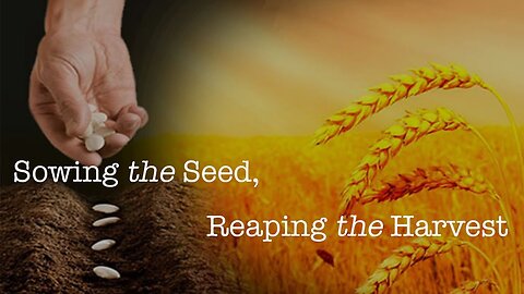 Plant Seed Harvest My Time is at Hand-