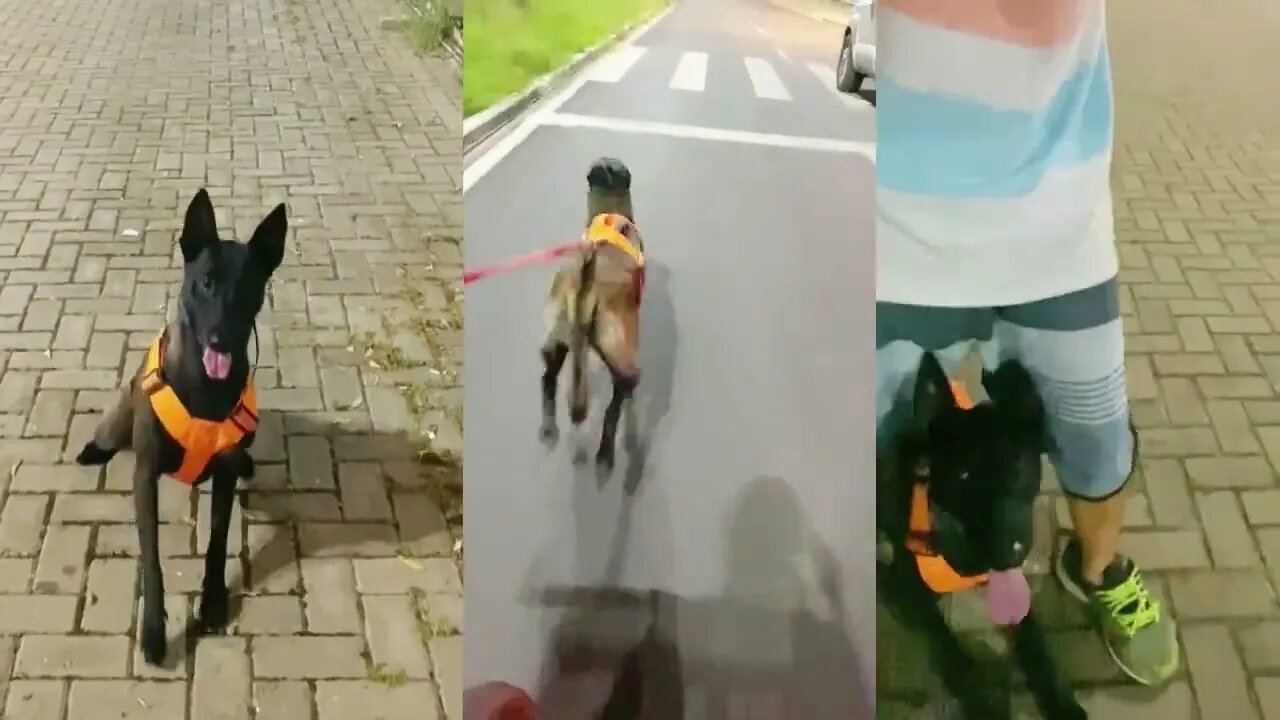 ROLÊ DE BIKE COM A BÓIA