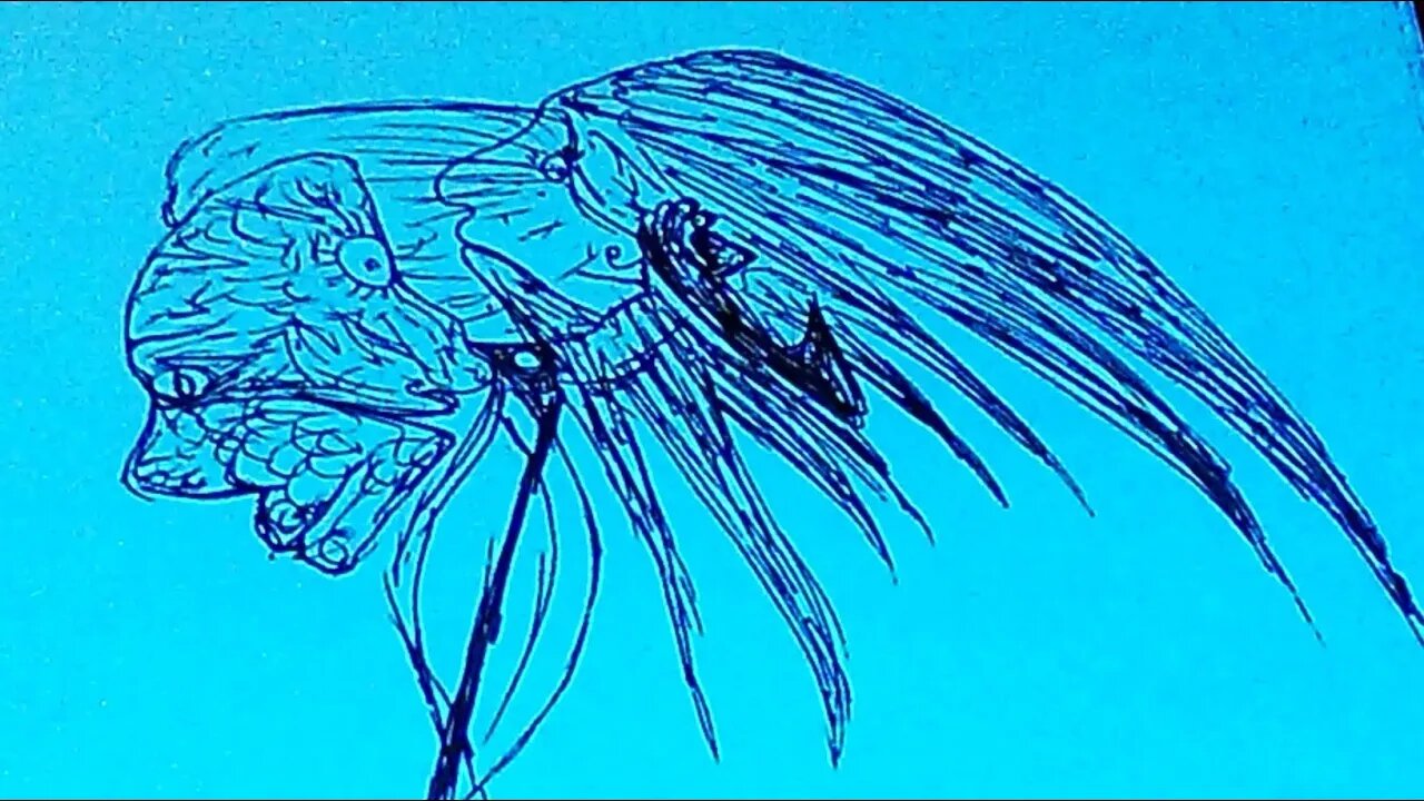 Whatcha Gonna Do When it all falls on you ---- IRP SNERPLE / PLEIADIAN DRAGON LION