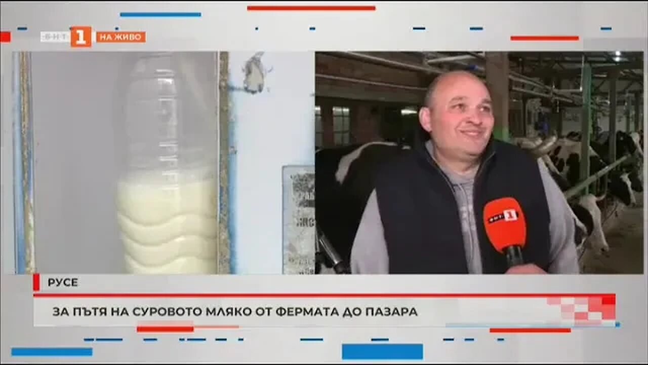 За пътя на суровото мляко от фермата до пазара