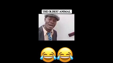 Part02| The oldest animal in the would 🦓 😂😂