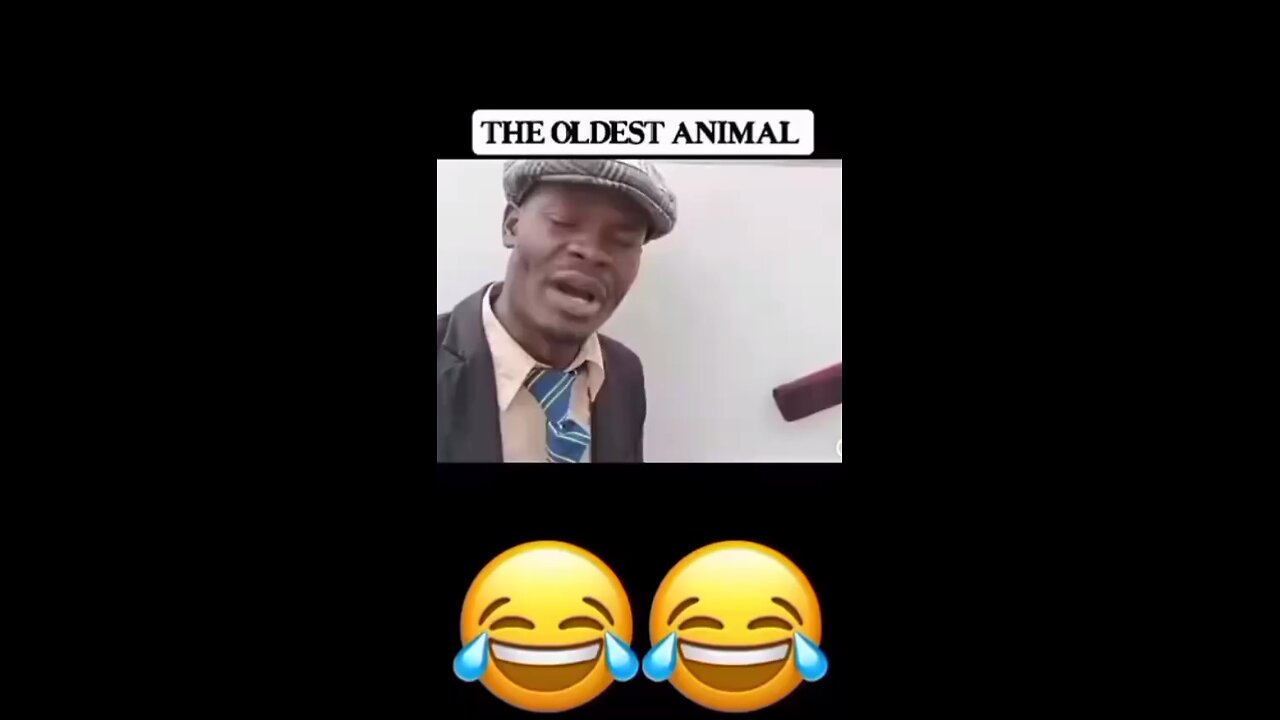 Part02| The oldest animal in the would 🦓 😂😂