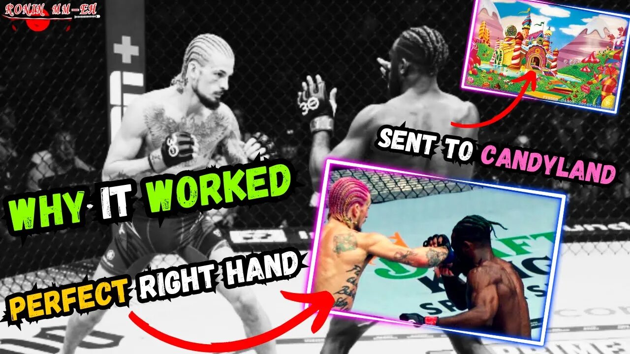 WHY Sean O'Malley's PERFECT right hand against Aljamain Sterling WORKED