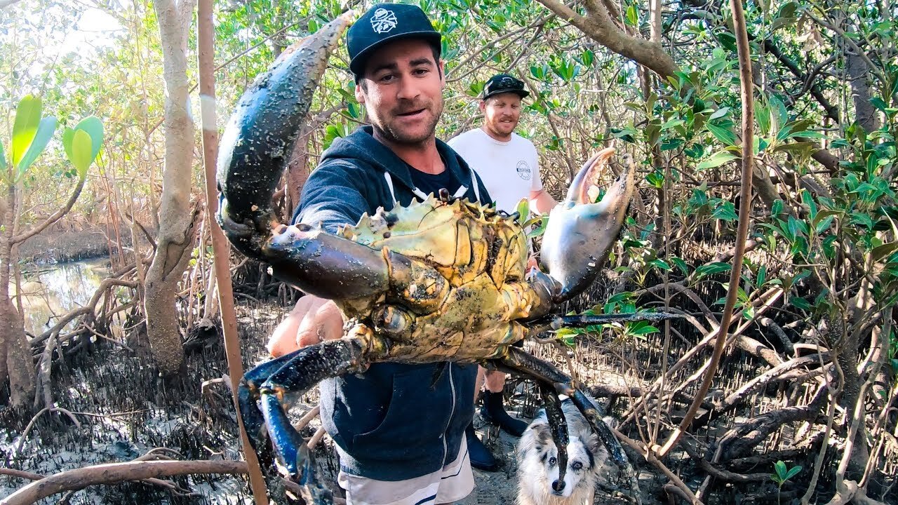 GIANT MUD CRAB Catch And Cook Camp Fire