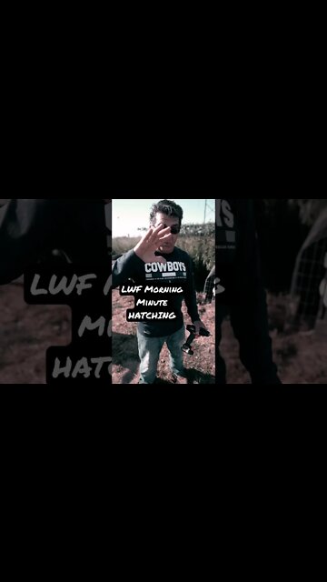 LWF Morning Minute - Hatching