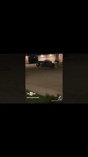 #She #was #waiting #for #her #love 💕 | #Dog #love #story