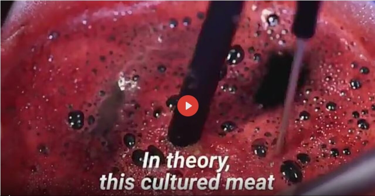 I SUGGEST YOU DO NOT EAT THE FRANKEN CRAP MEAT