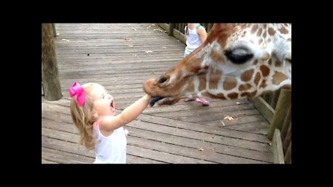 Babies make fun with animal at ZOO #1