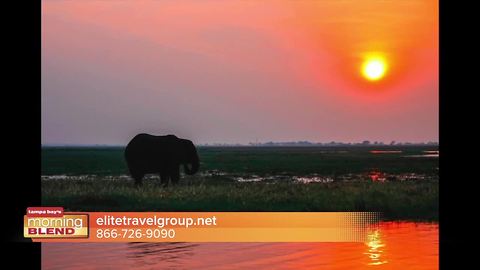 Elite Travel reveals African Safari travel deals