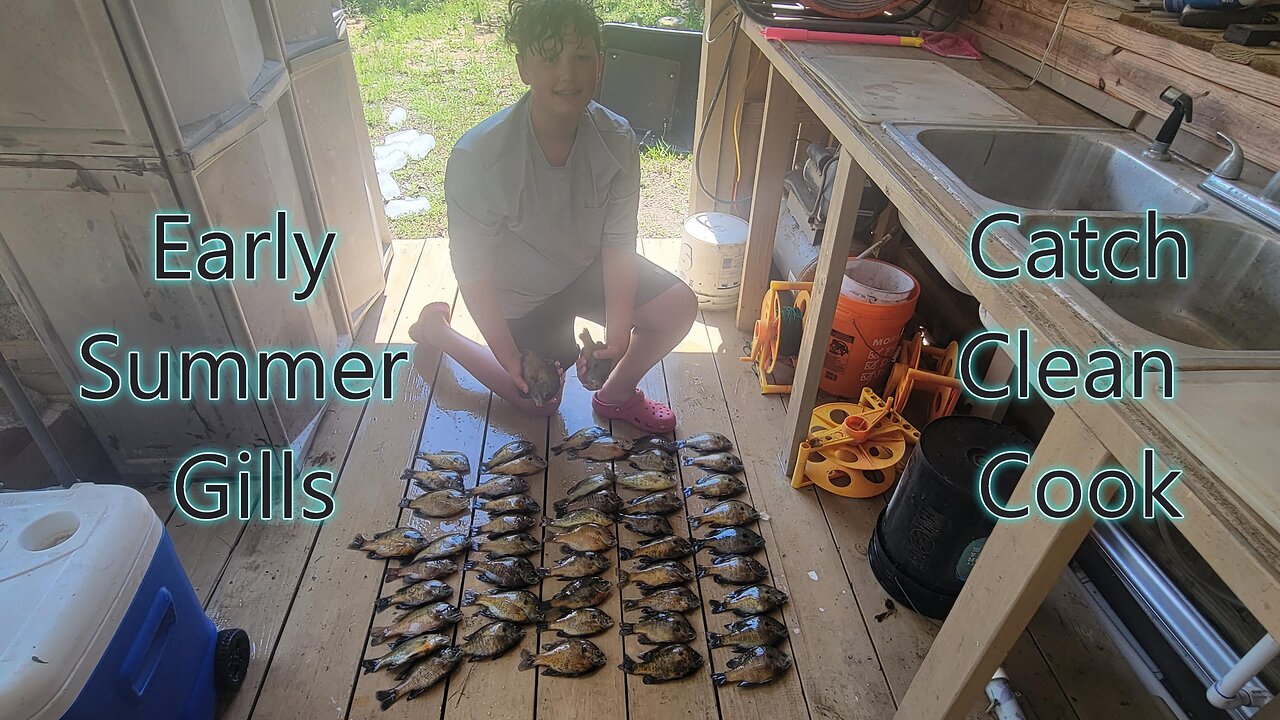 We Caught Bluegill: Bream Fishing in Early Summer