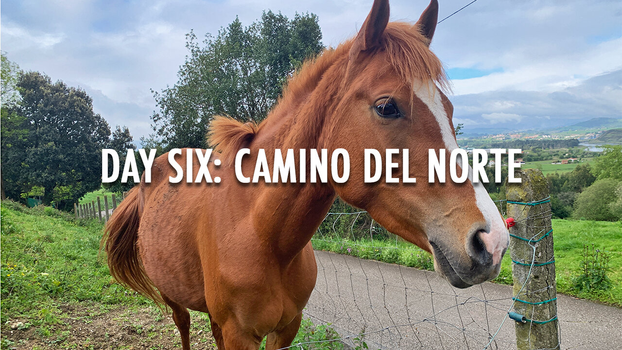 DAY SIX: CAMINO DEL NORTE (2024)