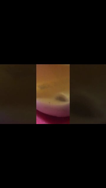 Pee recharges battery