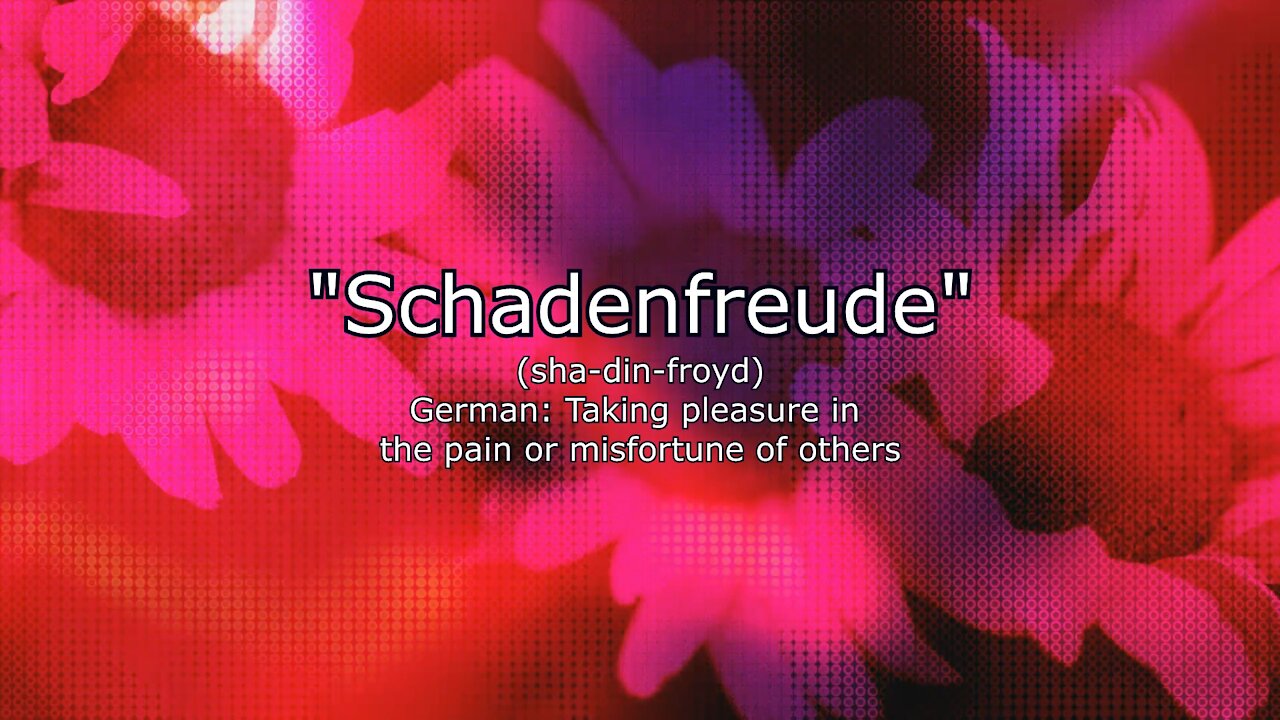 SCHADENFREUDE (Sha-Din-Froyd)