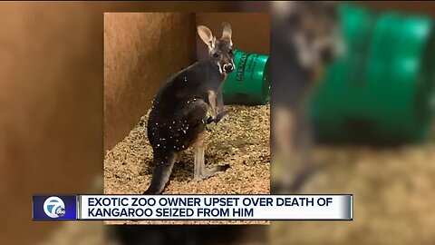 'Why was this hid from me and my attorney for over six months.' Owner of exotic zoo busted by police demands answers after kangaroo dies