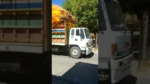 Ghost Rider Truck.