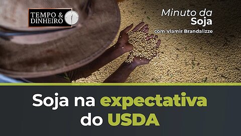 Soja na expectativa do USDA