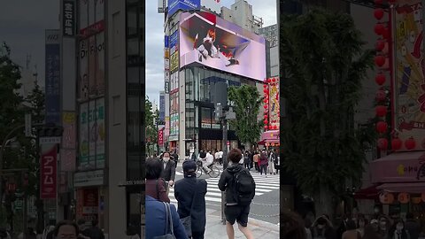 Giant 3D Cat Tokyo 🇯🇵