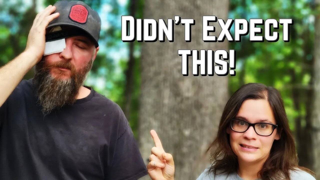 I Never thought this would happen | Shed To House | Couple Builds Tiny Homestead In The Woods