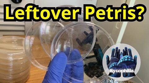 Don’t Waste Leftover Petris! How to Save Them (Eco-Mycology Series)