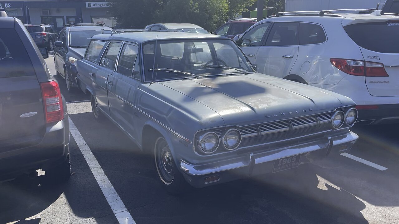 1965 AMC wagon …in the wild