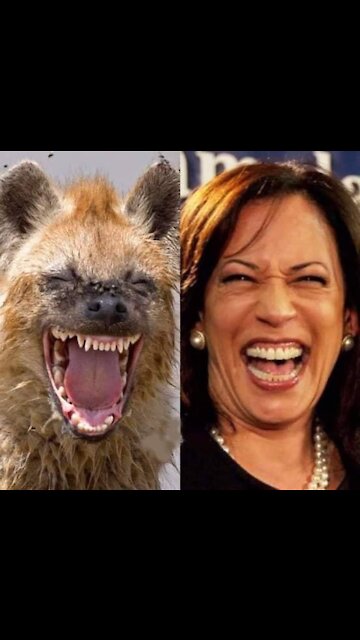 June 14th Trump Birthday Alexa says what!?