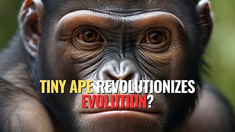 Tiny Ape Revolutionizes Evolution?