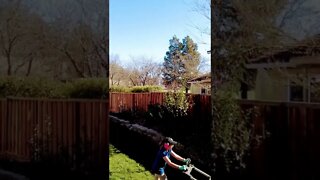 Mowing for the money!! lawn