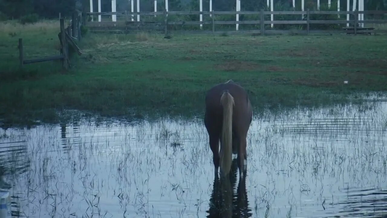 10/10/22 after Hurricane Ian the flood waters are slowly going down. Video taken at 8am
