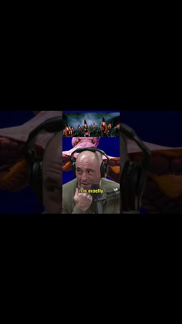 Joe Rogan's Mind-Blowing Reaction to Octopus Eggs with Forrest Galante