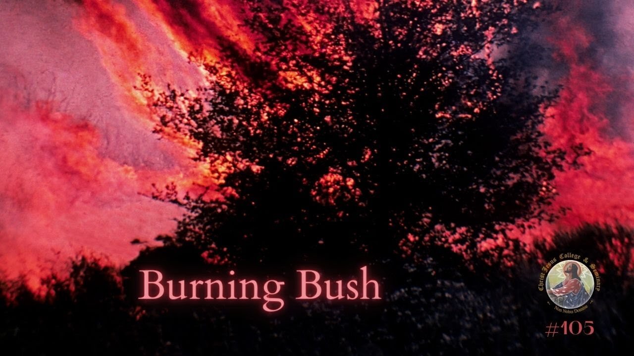 Burning Bush #105