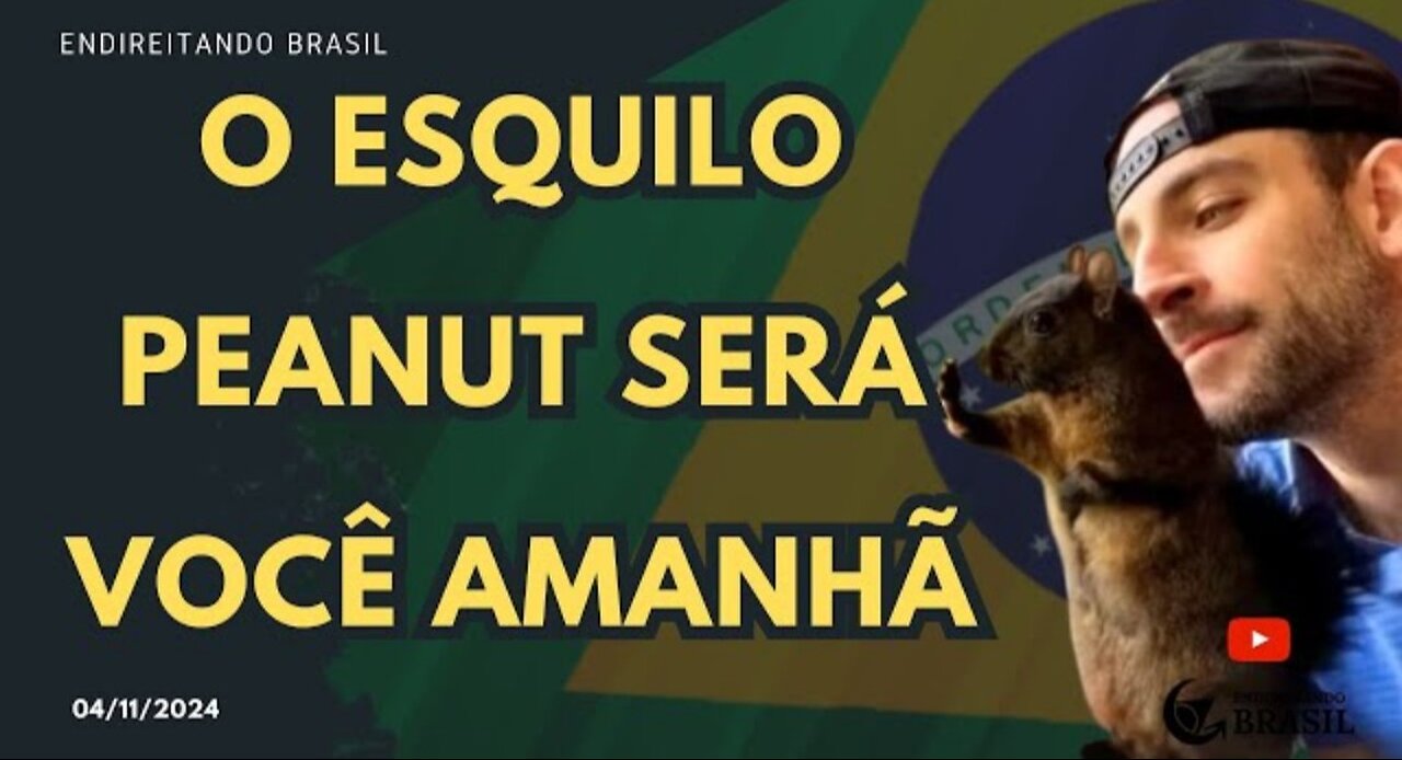 O ESQUILO PEANUT SERÁ VOCÊ AMANHÃ